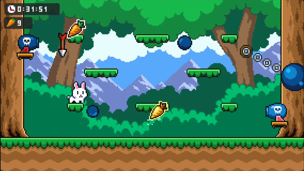 Poor Bunny cover image